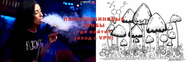 спайс Ельня