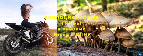 МДМА Елизово