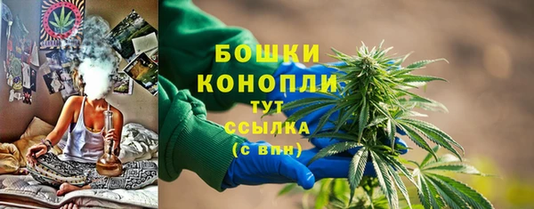 спайс Ельня
