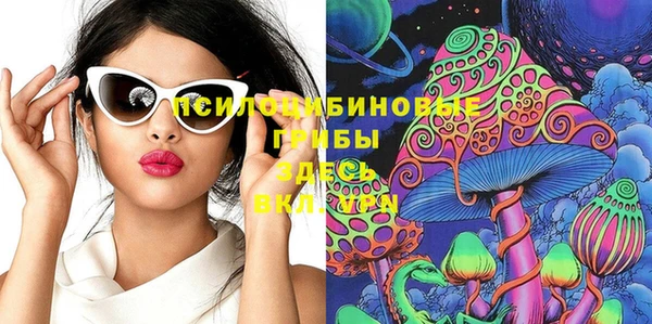 гидропоника Елабуга