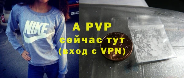 спайс Ельня
