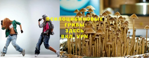 гидропоника Елабуга