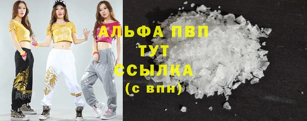 спайс Ельня